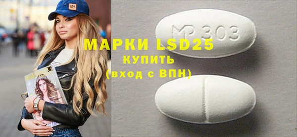 хмурый Алзамай