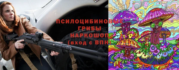 эйфоретик Алексин