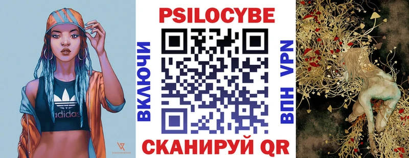 продажа наркотиков kraken Псилоцибиновые грибы MAGIC MUSHROOMS Стародуб